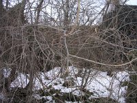 062 Meghatározandó